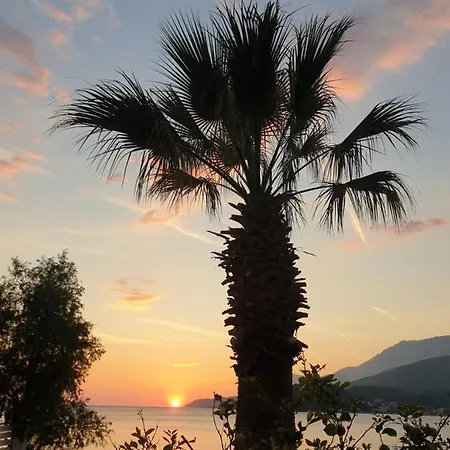 Seaside 3* Himare